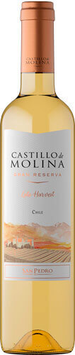 San Pedro Castillo De Molina Late Harvest 2022 500Cc