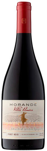Brisas Club Amantes CAV 2020 Pinot Las - del Leyda Vino Noir de Single - Vineyard